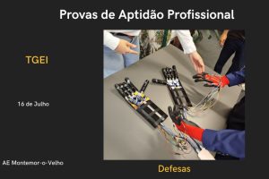 IMG_Not_13_PAP_TGEIjpg