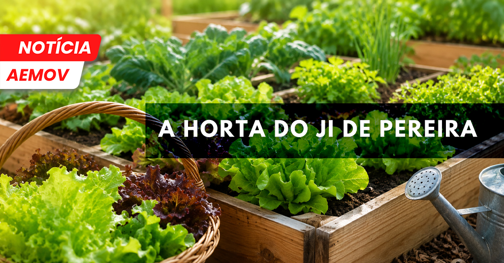 A Horta do JI de Pereira